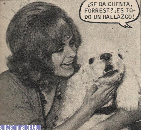 per13.jpg - Fans, November 1965: Tremolina cartoon, with her dog
