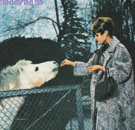 per18.jpg - Lecturas, January 1966: at the Madrid zoo