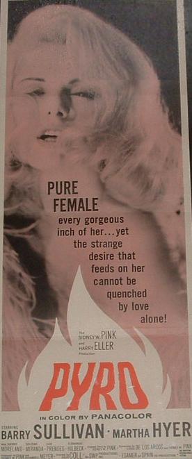 02uspost.jpg - Pyro US poster