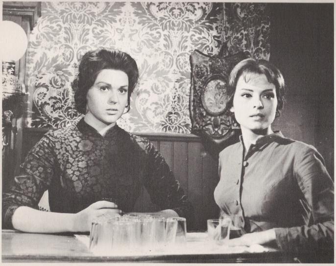 17still.jpg - Sugar Colt still