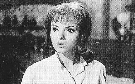 25still.jpg - Sugar Colt still