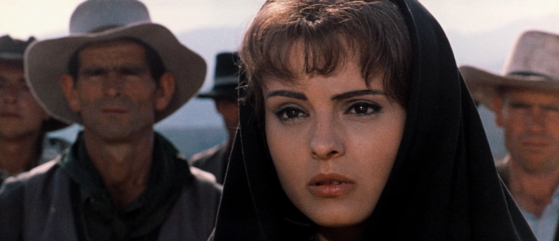 scsugar31.jpg - Sugar Colt screencap