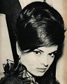 26Digame-3-2-65
